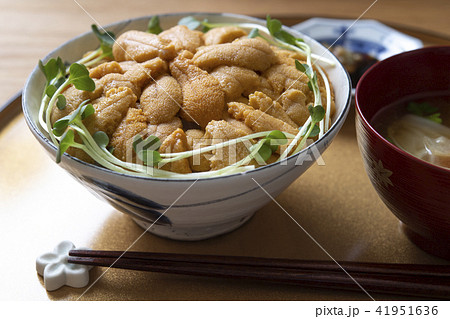 うに丼 うに丼 41951636