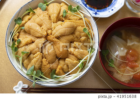 うに丼 うに丼 41951638