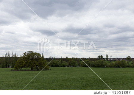 英国の公園ダンソンパーク 英国の公園ダンソンパーク 41951897