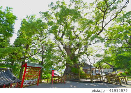 蒲生八幡神社 41952675