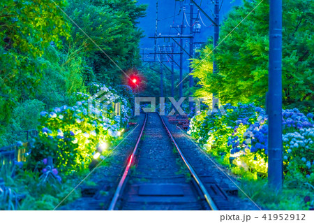 箱根登山鉄道とあじさいの風景 41952912