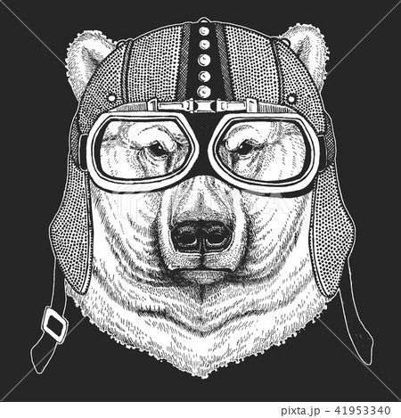 Bear, polar bear. Vintage motorcycle hemlet. Retro style illustration with animal biker for children Bear, polar bear. Vintage motorcycle hemlet. Retro style illustration with animal biker for children 41953340