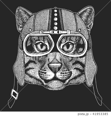 Vintage motorcycle hemlet. Retro style illustration with animal biker for children, kids clothing, t Vintage motorcycle hemlet. Retro style illustration with animal biker for children, kids clothing, t 41953385