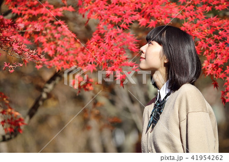 見上げる学生 紅葉 見上げる学生 紅葉 41954262