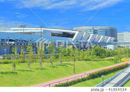 豊洲市場  41954534