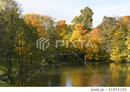秋のヴィーゲラン公園 Frognerparken 秋のヴィーゲラン公園 Frognerparken 41955105