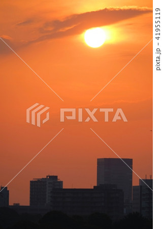 ビル夕景 ビル夕景 41955119