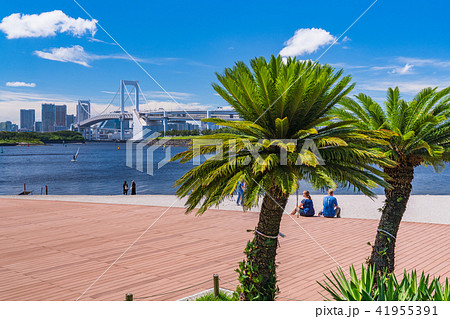 東京都 夏のお台場 海浜公園の写真素材