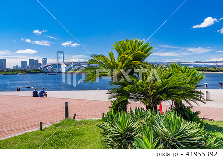 東京都 夏のお台場 海浜公園の写真素材