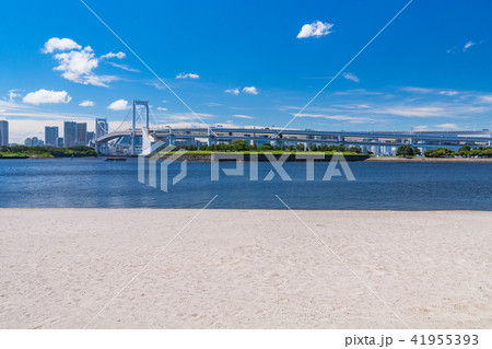 東京都 夏のお台場 海浜公園の写真素材