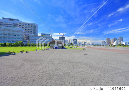 東京臨海広域防災公園 41955692
