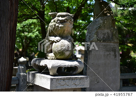 【四国八十八ヶ所】第七十六番　金倉寺　吽形の狛犬　香川県善通寺市 41955767