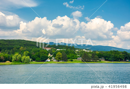shore of Zemplinska Sirava, Slovakia in summer shore of Zemplinska Sirava, Slovakia in summer 41956498