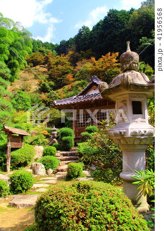 達身寺(兵庫県丹波市)庭園 達身寺(兵庫県丹波市)庭園 41956568