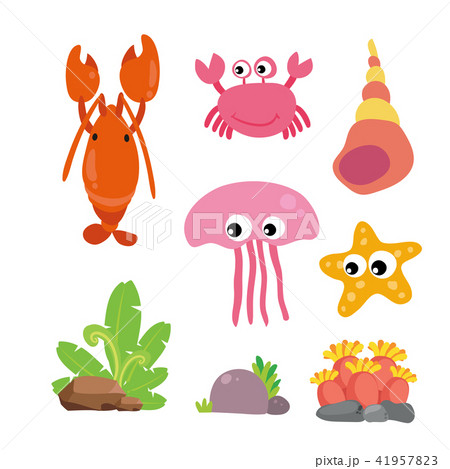 marine life vector collection design 41957823