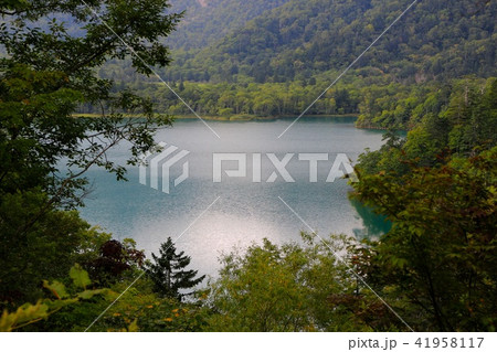 オコタンペ湖 41958117