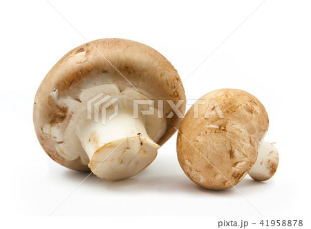 fresh champignons brown version isolated 41958878