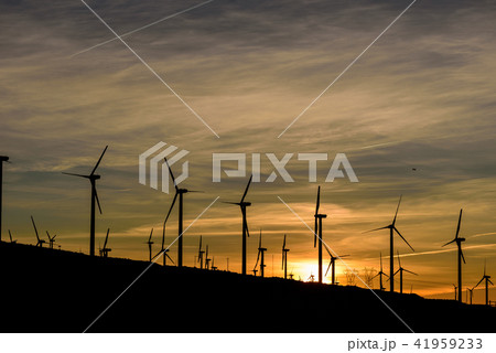 朝焼けに映えるカリフォルニア・Palm Springs近郊の風力発電の風車群　 41959233