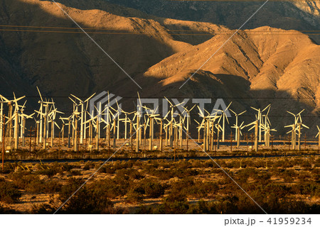 朝焼けに映えるカリフォルニア・Palm Springs近郊の風力発電の風車群　 41959234