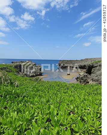 空と海（白鳥崎 西海岸公園） 41959717