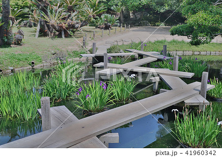 The nature in old Japanese park The nature in old Japanese park 41960342