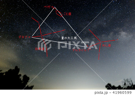 昇る夏の大三角形 41960599