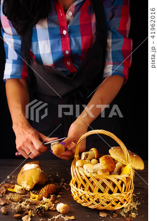 Fresh forest mushrooms in a basket on a dark wooden table. Woman's hands cut a mushroom 41962016