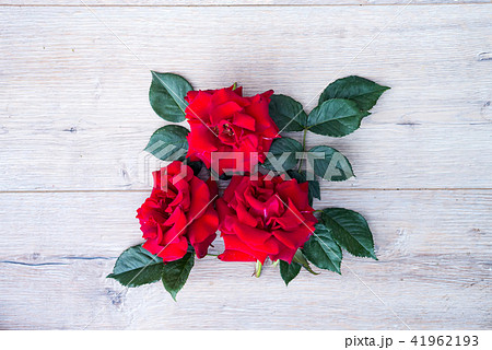 rose red flowers arrangement isolated on wooden gray background rose red flowers arrangement isolated on wooden gray background 41962193
