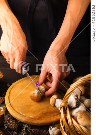female hands cut fresh forest mushrooms on a wooden board over dark a wooden background 41962262