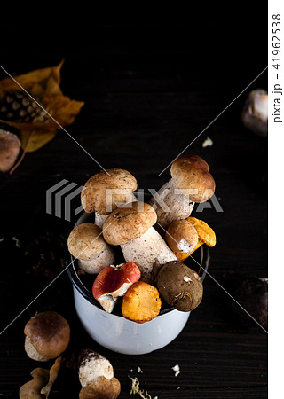 Fresh porcini mushrooms in metal cup on rustic wooden backgroun Fresh porcini mushrooms in metal cup on rustic wooden backgroun 41962538
