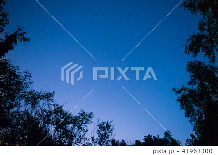 Sunset and night dark blue sky in forest 41963000