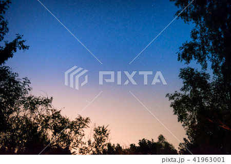 Sunset and night dark blue sky in forest Sunset and night dark blue sky in forest 41963001