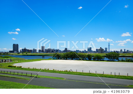 青空が広がる川の手住宅街と東京スカイツリー 青空が広がる川の手住宅街と東京スカイツリー 41963079