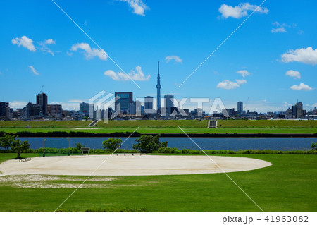 青空が広がる川の手住宅街と東京スカイツリー 青空が広がる川の手住宅街と東京スカイツリー 41963082