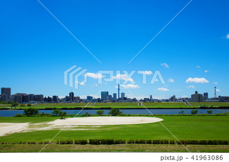 青空が広がる川の手住宅街と東京スカイツリー 青空が広がる川の手住宅街と東京スカイツリー 41963086