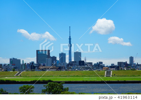 青空が広がる川の手住宅街と東京スカイツリー 青空が広がる川の手住宅街と東京スカイツリー 41963114