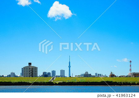 青空が広がる川の手住宅街と東京スカイツリー 青空が広がる川の手住宅街と東京スカイツリー 41963124