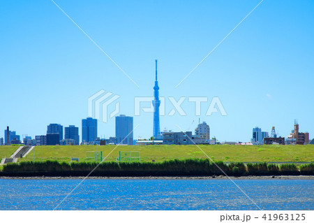青空が広がる川の手住宅街と東京スカイツリー 青空が広がる川の手住宅街と東京スカイツリー 41963125
