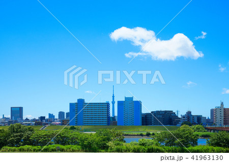 青空が広がる川の手住宅街と東京スカイツリー 41963130