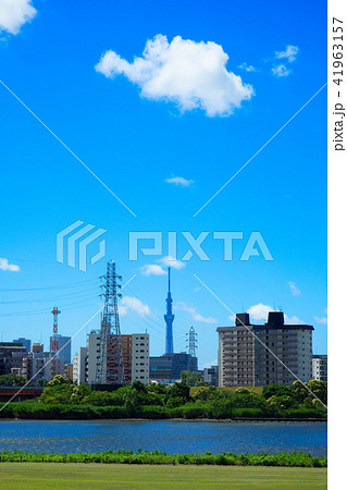 青空が広がる川の手住宅街と東京スカイツリー 41963157