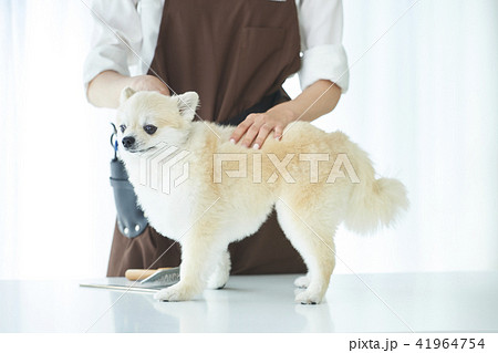 トリマー 41964754