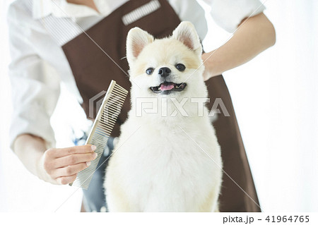 トリマー 41964765