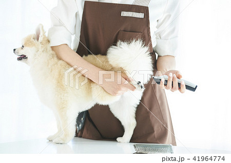 トリマー 41964774