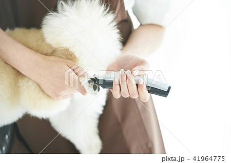 トリマー トリマー 41964775