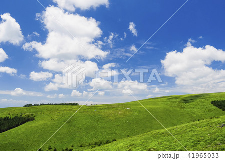 霧ヶ峰の夏 41965033