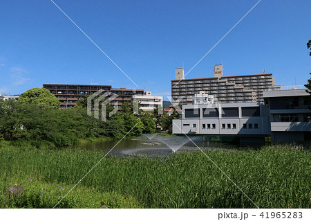 西宮市 夙川公民館と片鉾池 西宮市 夙川公民館と片鉾池 41965283