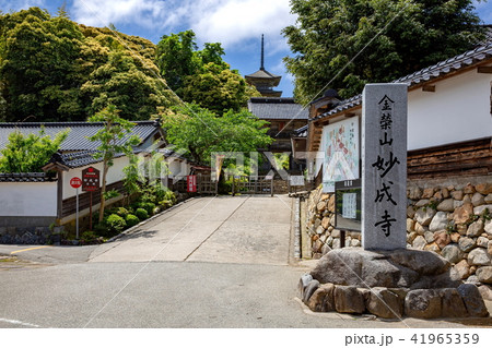 妙宣寺 妙宣寺 41965359