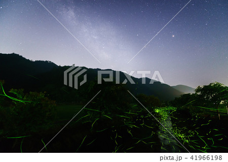ゲンジボタルと天の川 41966198