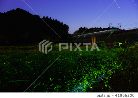 新幹線とホタル 新幹線とホタル 41966200