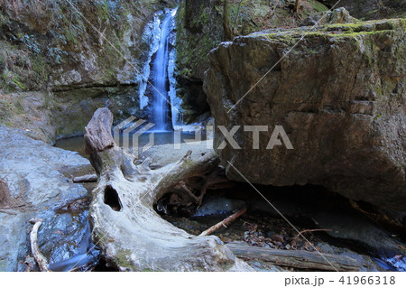 青梅の御岳山にある七代の滝(ななよのたき)の氷結 41966318